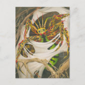 Root Spider Briefkaart (Voorkant)