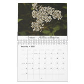 Rooted & Wild Natuur kalender 2022 (Feb 2027)