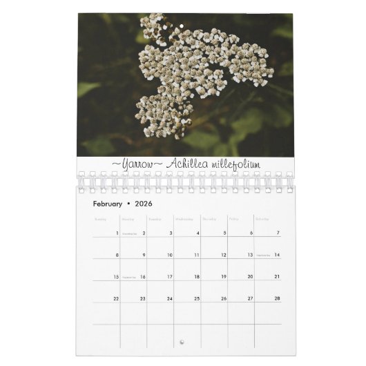 Rooted & Wild Natuur kalender 2022 (Feb 2026)