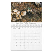 Rooted & Wild Natuur kalender 2022 (Mar 2026)