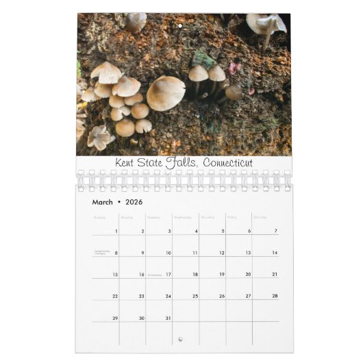 Rooted & Wild Natuur kalender 2022 (Mar 2026)
