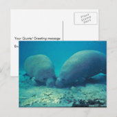 Rooting beheren in zand briefkaart (Voorkant / Achterkant)