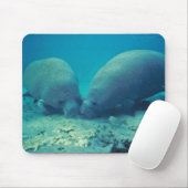 Rooting beheren in zand muismat (Met muis)