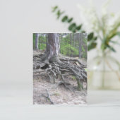 Roots Briefkaart (Staand voorkant)