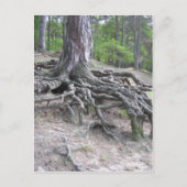 Roots Briefkaart (Voorkant)