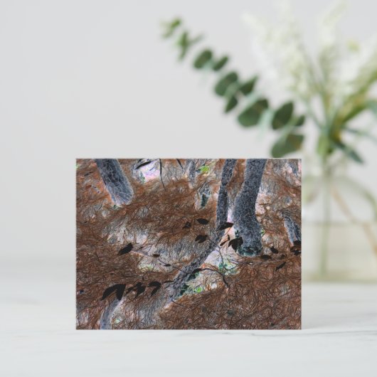 "Roots" Gnarled-bomen, pijnnaalden, bosgrond Briefkaart (Staand voorkant)