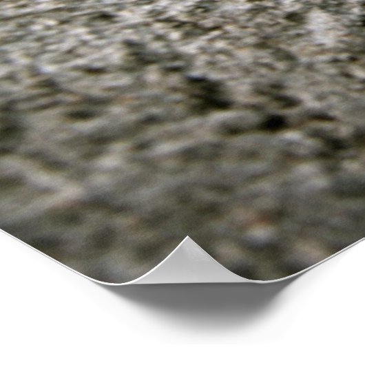 Roots of Achievement Inspirerend Poster Print (Hoek)