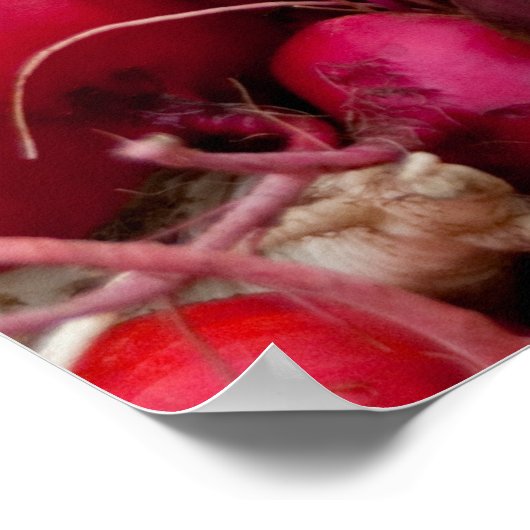 ROOTS! POSTER (Hoek)