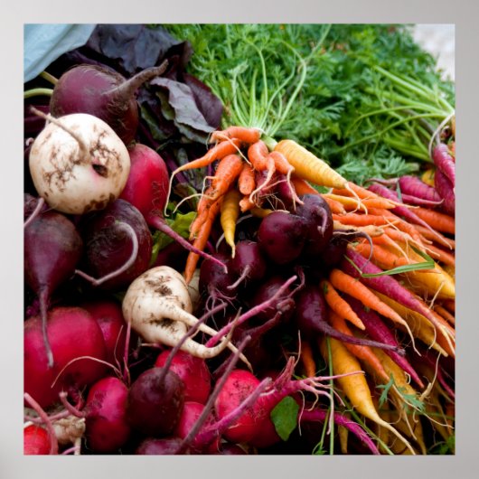 ROOTS! POSTER (Voorkant)