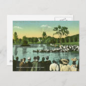 Rope Pull, Campus Pond Briefkaart (Voorkant / Achterkant)