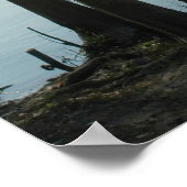 Rope Swing on the Suwannee River Print (Hoek)