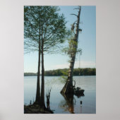 Rope Swing on the Suwannee River Print (Voorkant)