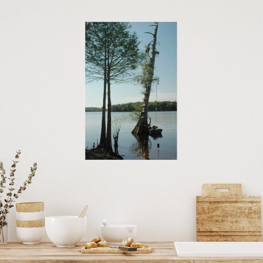 Rope Swing on the Suwannee River Print (Keuken)