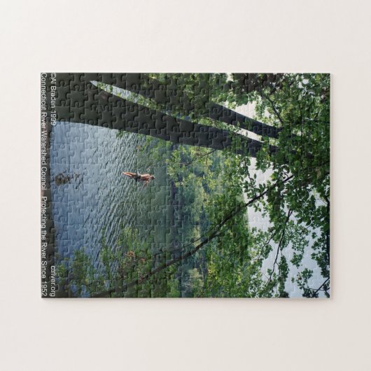 Rope Swing Puzzle, Connecticut River - Al Braden Legpuzzel (Horizontaal)