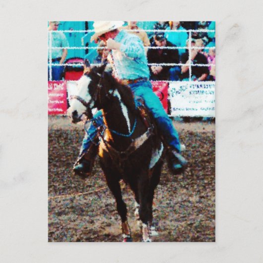 Roper op een Pinto Briefkaart (Voorkant)