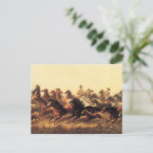 Roping Wild Horses door James Walker Briefkaart (Staand voorkant)
