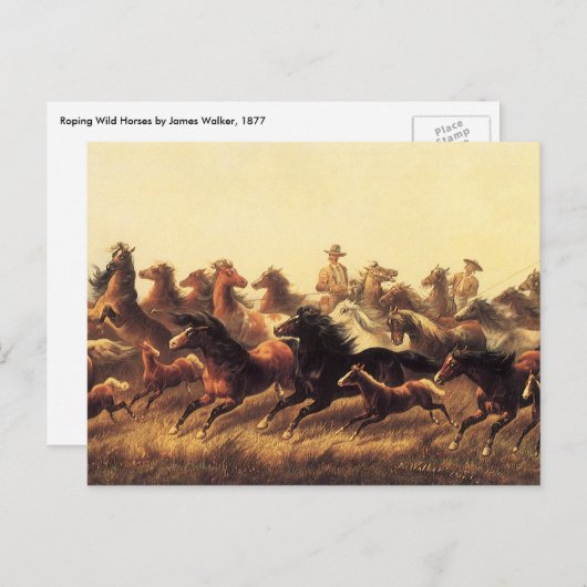 Roping Wild Horses door James Walker Briefkaart (Voorkant / Achterkant)