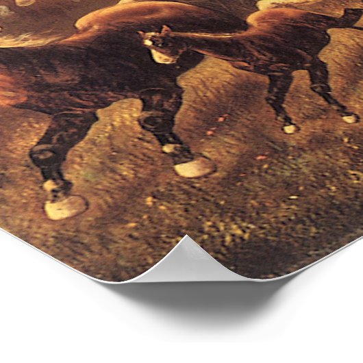 Roping Wild Horses door James Walker Poster (Hoek)