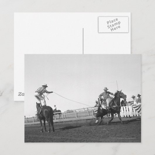 Ropingpaard Briefkaart (Voorkant / Achterkant)