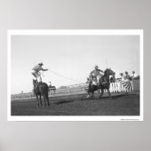 Ropingpaard Poster (Voorkant)