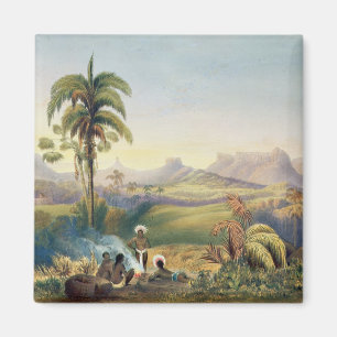 Roraima, een opmerkelijk gebied van het Sandsteeng Magneet