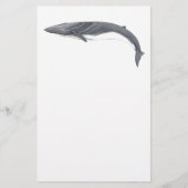 Rorcual comun briefpapier (Voorkant)