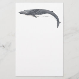 Rorcual comun briefpapier