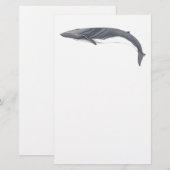 Rorcual comun briefpapier (Voorkant / Achterkant)