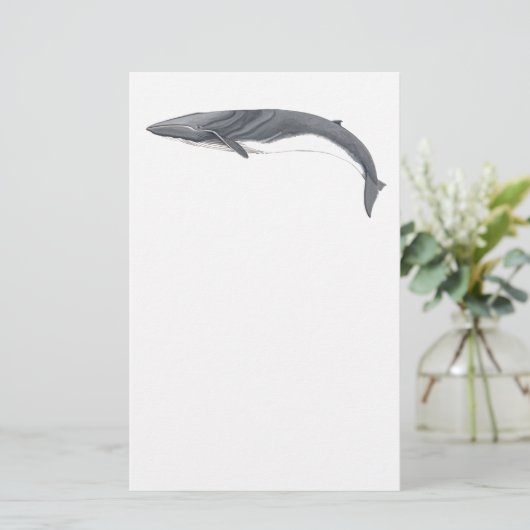 Rorcual comun briefpapier (Staand voorkant)