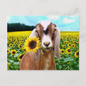 "Rory" Postcard Briefkaart (Voorkant)