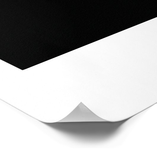 ROS Electric Emys Poster (Hoek)