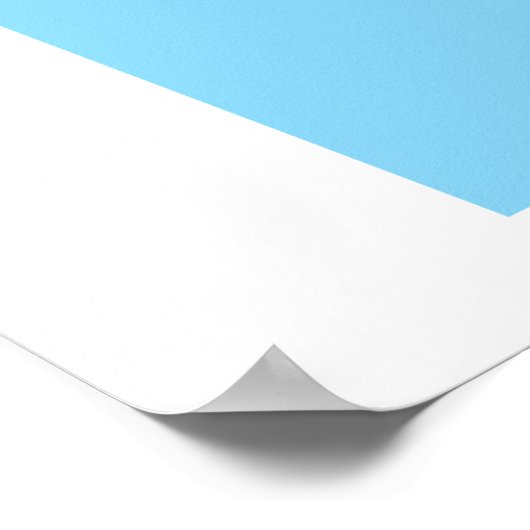 ROS Humble Hawksbill Poster (Hoek)