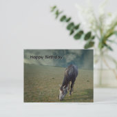 Ros paard dat graast in de paddock, verjaardagsans briefkaart (Staand voorkant)