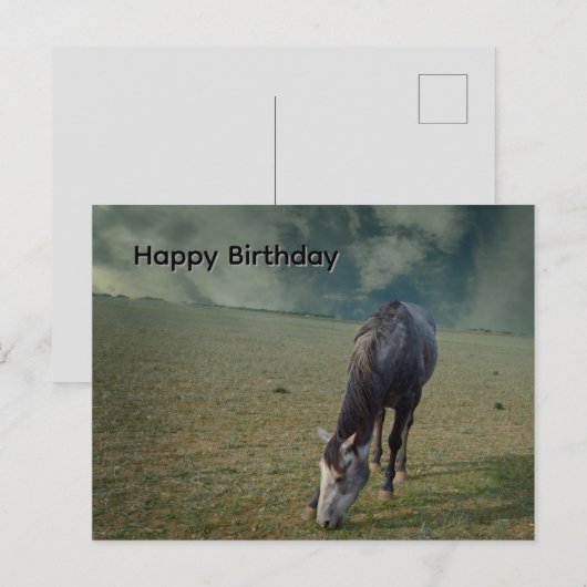 Ros paard dat graast in de paddock, verjaardagsans briefkaart (Voorkant / Achterkant)