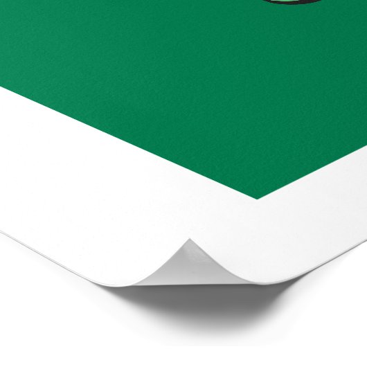 ROS Rolling Ridely Poster (Hoek)