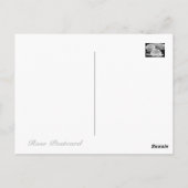 Rosa Abraham Darby [ansichtkaart] Briefkaart (Achterkant)