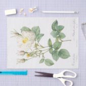 Rosa alba foliacea tissuepapier (Craft)