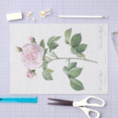 Rosa alba regalis tissuepapier (Craft)
