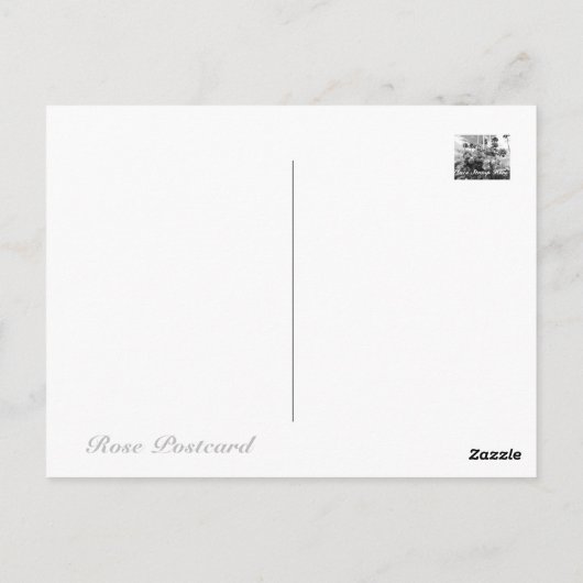 Rosa Angela［Postcard］ Briefkaart (Achterkant)