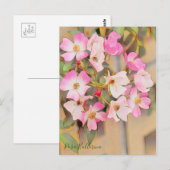 Rosa Ballerina [Postcard] Briefkaart (Voorkant / Achterkant)