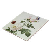 Rosa: Bengaals de Hymenes uit de Rozen van Les Tegeltje (Zijkant)