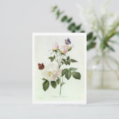 Rosa: Bengale de Hymenes uit 'Les Rozen' Briefkaart (Staand voorkant)