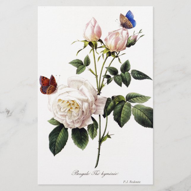 Rosa Bengale - Pierre Joseph Redouté. (Voorkant)