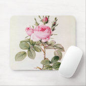 Rosa Bifera Officinalis uit de Les-Rozen Muismat (Met muis)