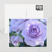 Rosa Blue Bajou Briefkaart (Voorkant / Achterkant)