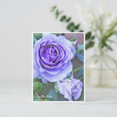 Rosa Blue Bajou Briefkaart (Staand voorkant)