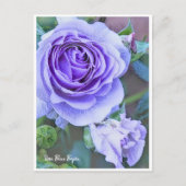 Rosa Blue Bajou Briefkaart (Voorkant)