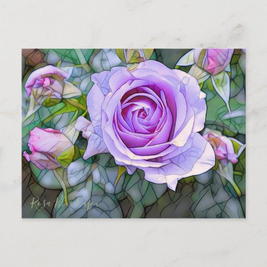 Rosa Blue Bajou (Briefkaart) Briefkaart (Voorkant)