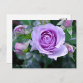 Rosa Blue Bajou (Briefkaart) Briefkaart (Voorkant / Achterkant)