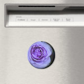 Rosa Blue Bajou Magneet (Insitu (Vaatwasser))